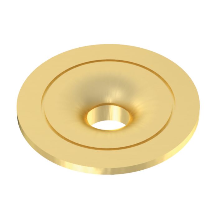 Brushed Brass Interchangeable Bezel for Mini (AMKR020)