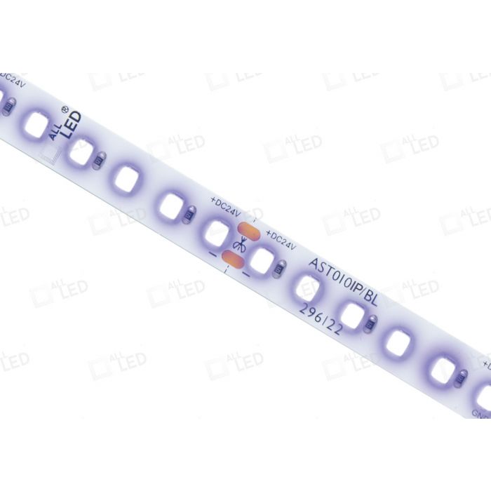 Colour-Pro 10w/m IP65 LED Strip, 24V - Supplied in 30m Rolls, or Cut to Length Azure Blue